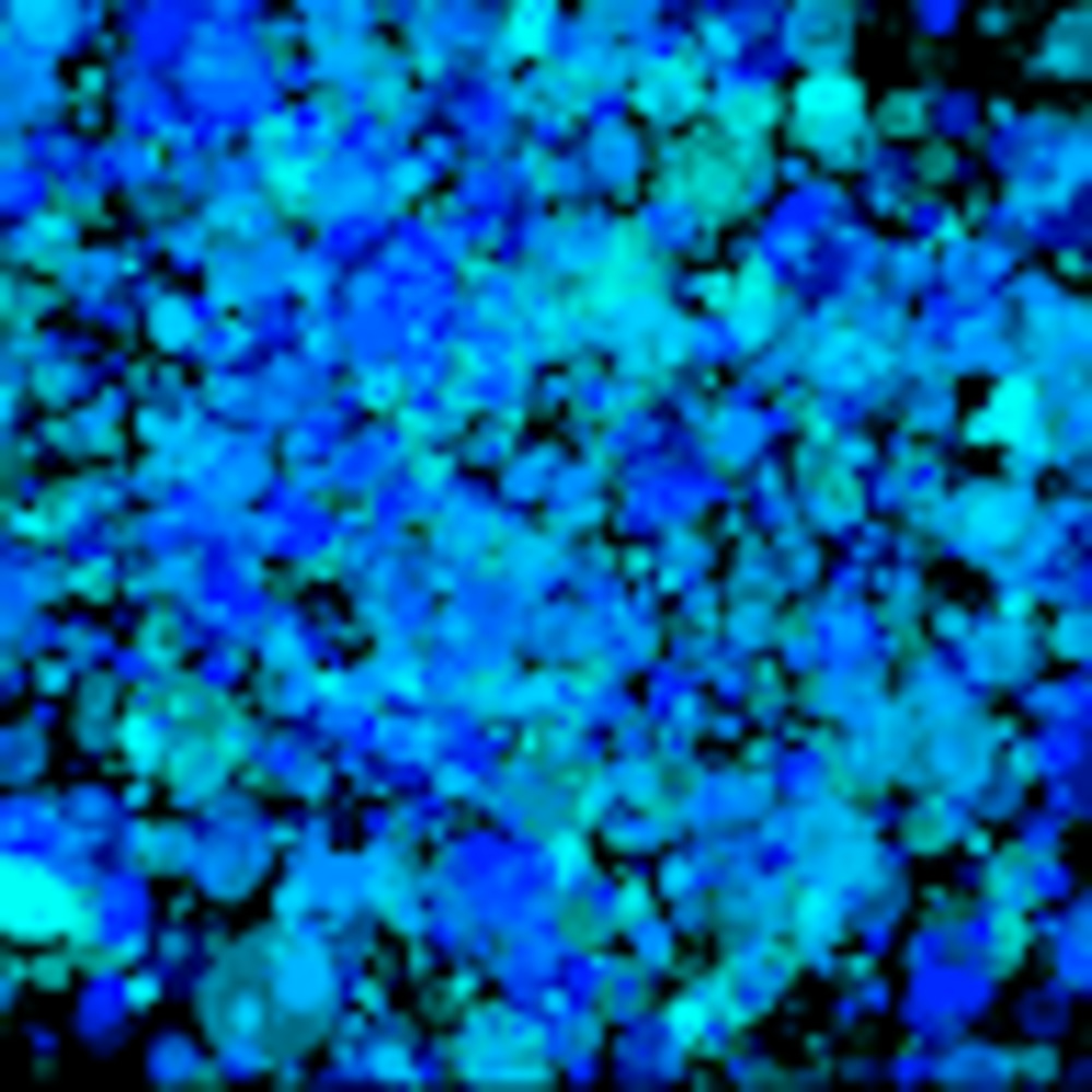 Meet your Posher, Go